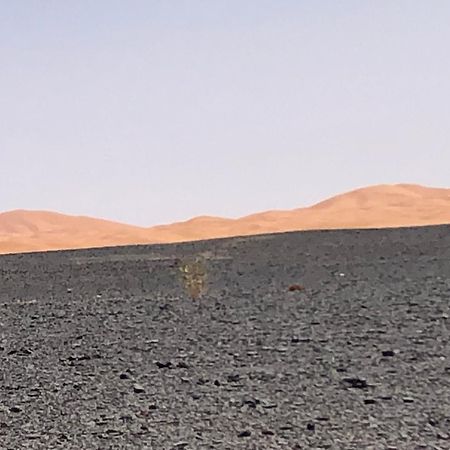 Bivouac Le Petit Prince مرزوكة المظهر الخارجي الصورة