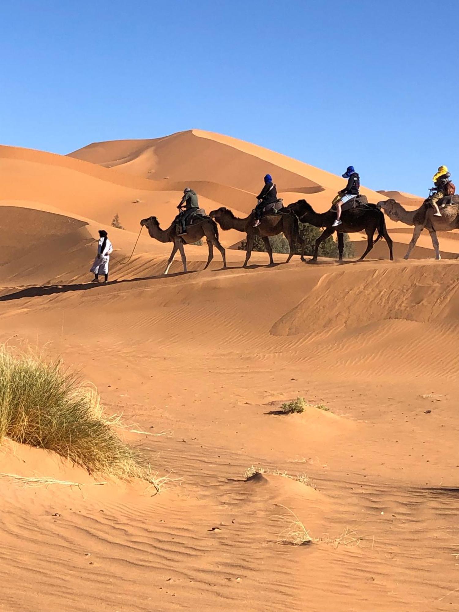 Bivouac Le Petit Prince مرزوكة المظهر الخارجي الصورة